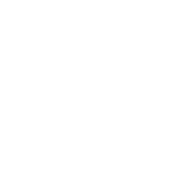 Zenith Protection Group